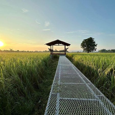 Phanumas Resort Чіангмай Екстер'єр фото